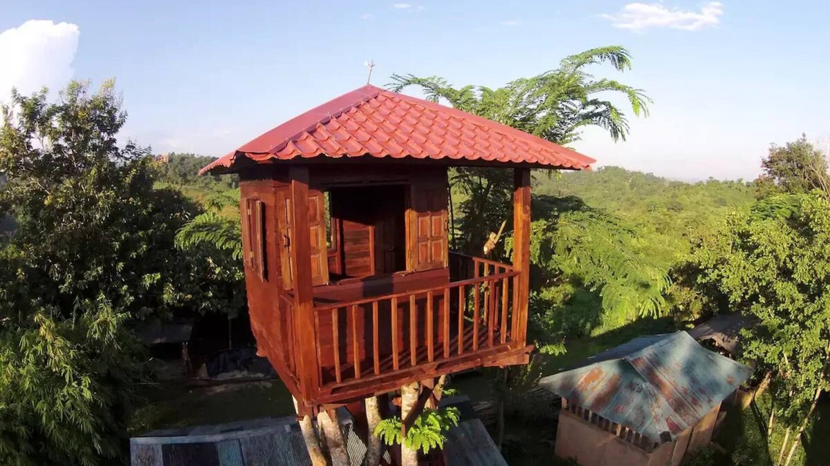 Mae Fa Luang House | Treehouse and swimming pool