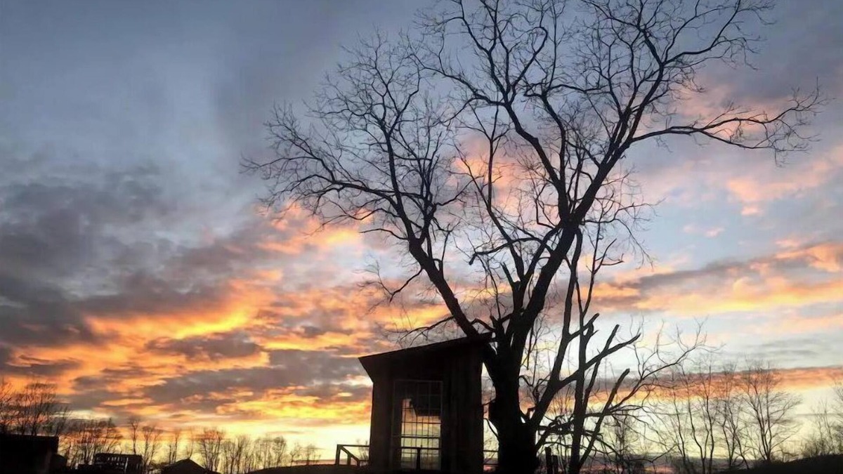 Pine Grove Cabin | Treehouse at Fairview Farms