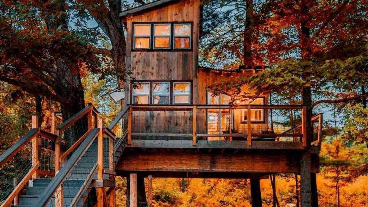Willington Cabin | Treehouse - Countryside - Farm Animals - Fire Pit