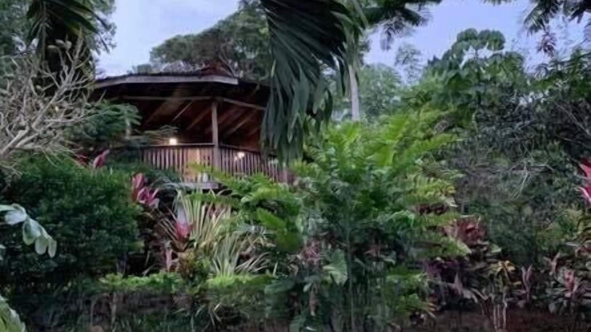 San Isidro de El General Cabin | treehouse