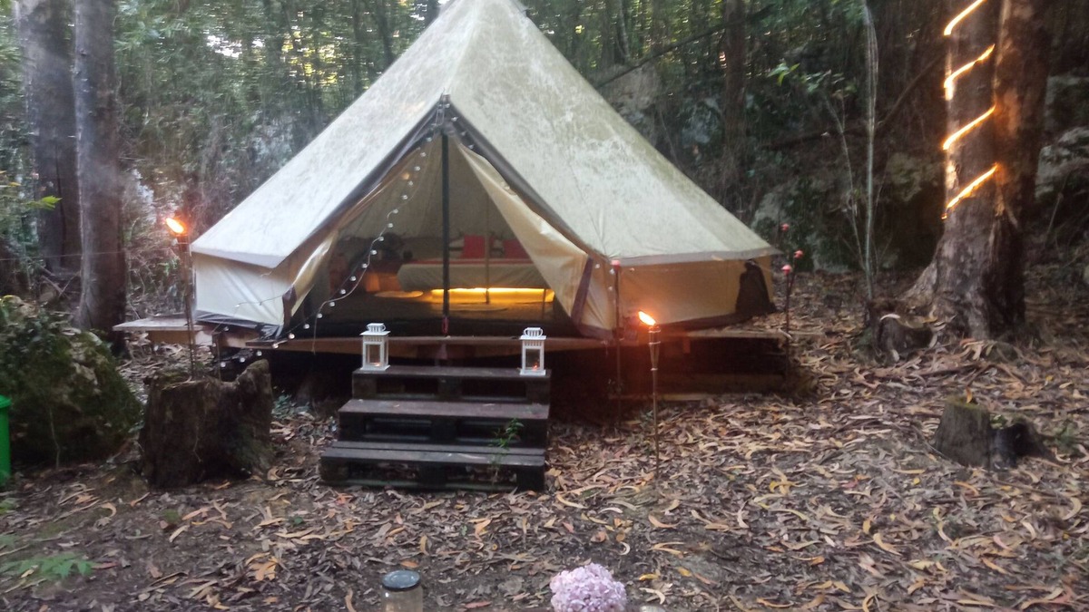 La Iglesia Cabin | Treehouse in rural forest area, charming Tipi Glamping tent in downtown area
