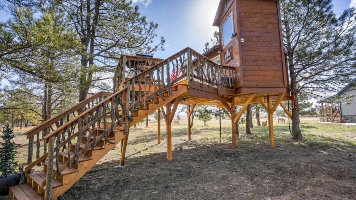 Larkspur Cabin | Treehouse Mountain Views Unique Ranch Experience