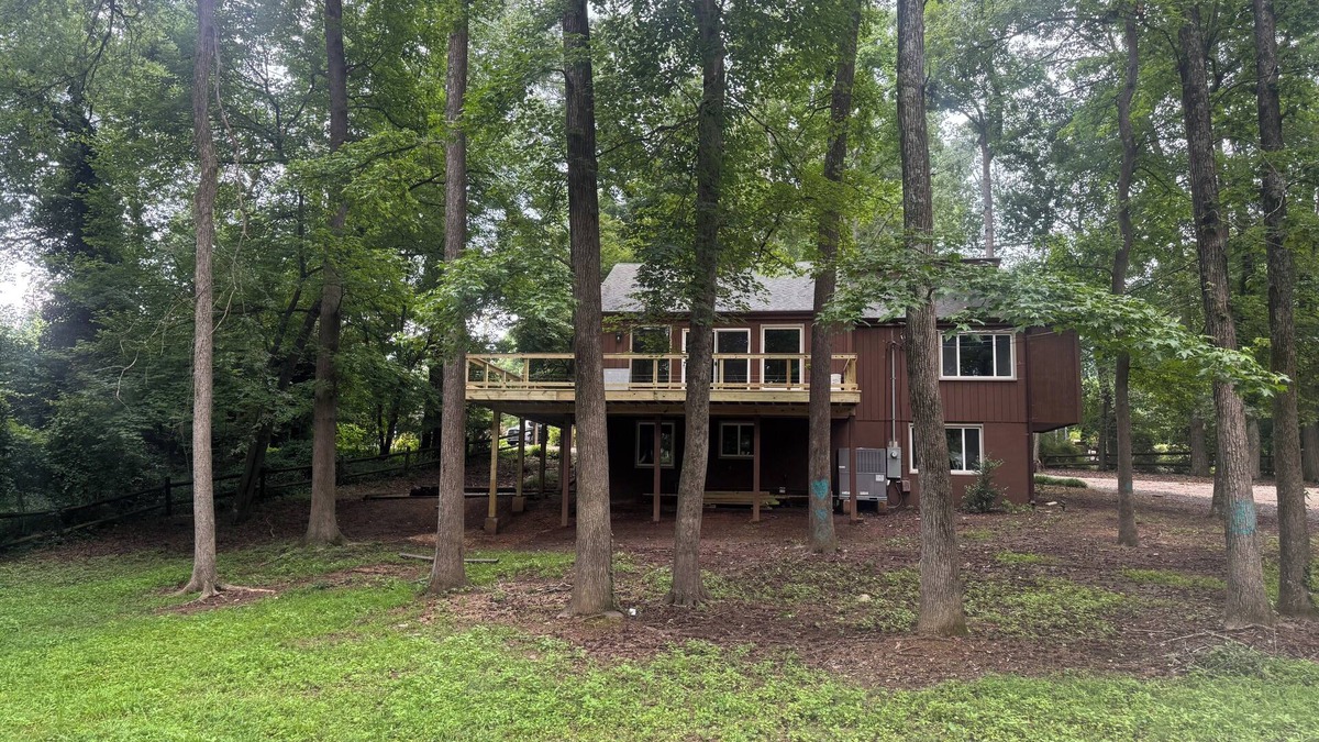 Albemarle House | TREEHOUSE NOW AVAILABLE! nA 5-bedroom, 2 driveways, 1.2 acres. 807 Brunson Drive