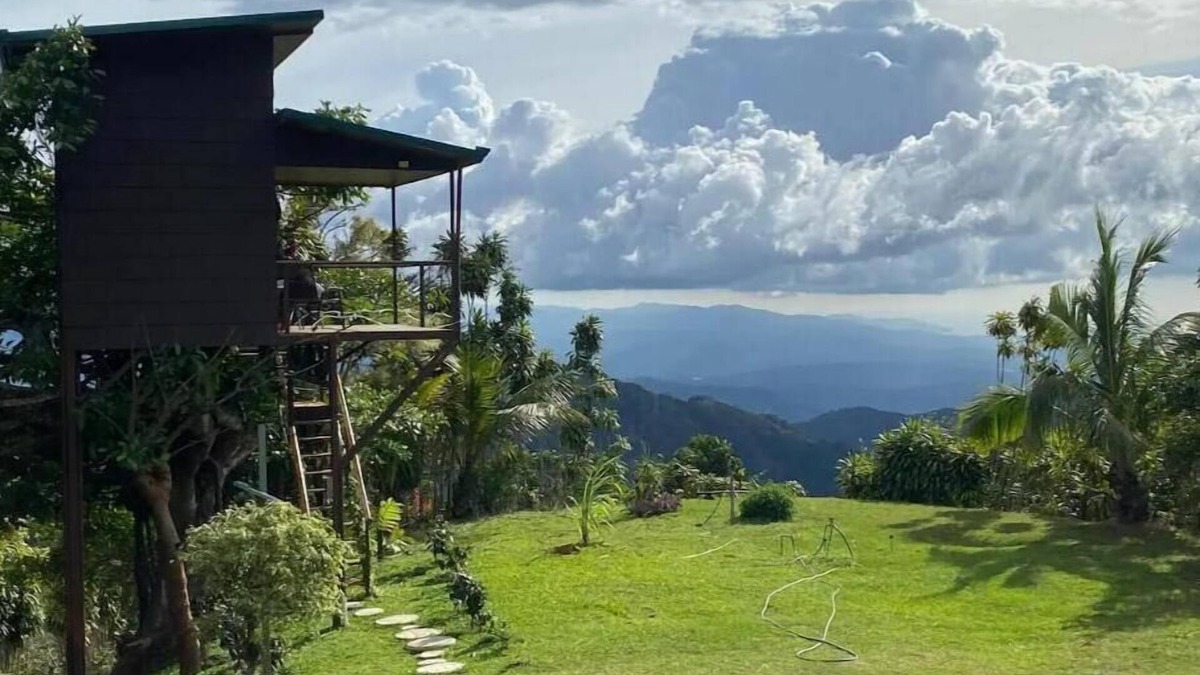 Jesus House | Treehouse on a Coffee Farm with Ocean View