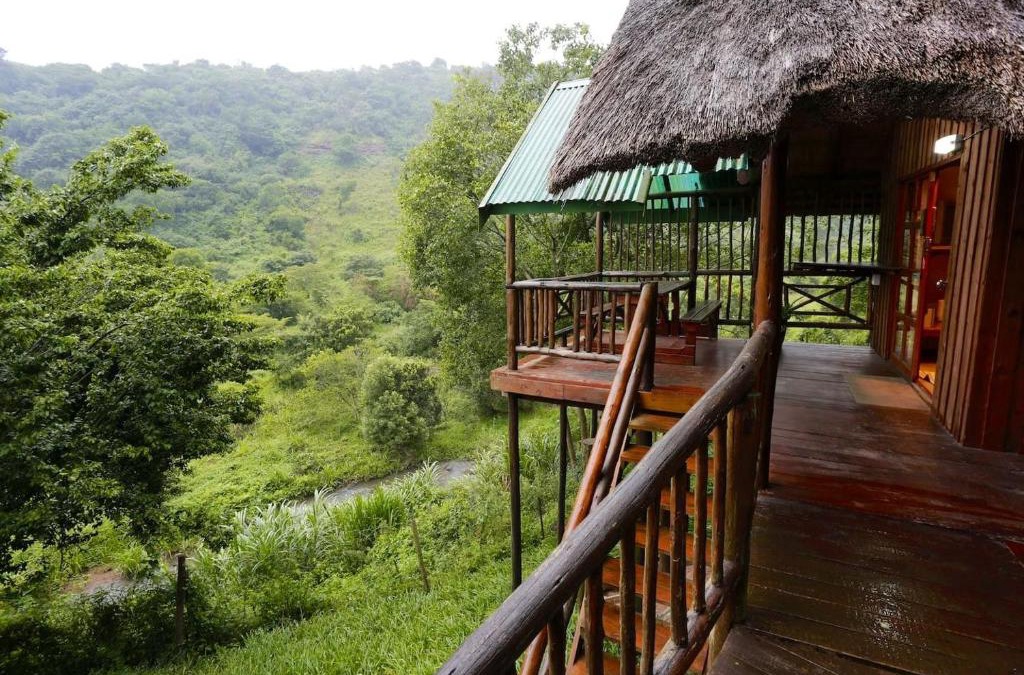 Shongweni Bed & Breakfast | Treehouse River Lodge