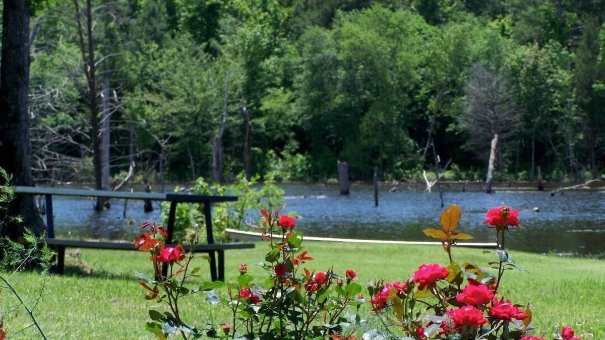 Pittsburg Apartment | Treehouse: Romantic Hideaway on Private Lake