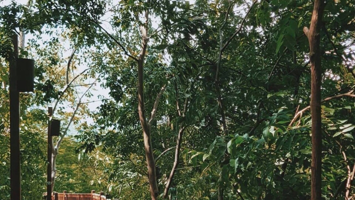 Playa La Redonda Resort | TreeHouse Studio Beachfront Aqua Nicaragua Resort