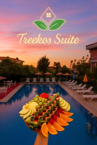 Karaburun Koyu Hotel | Treekos Suite Hotel Istanbul Airport
