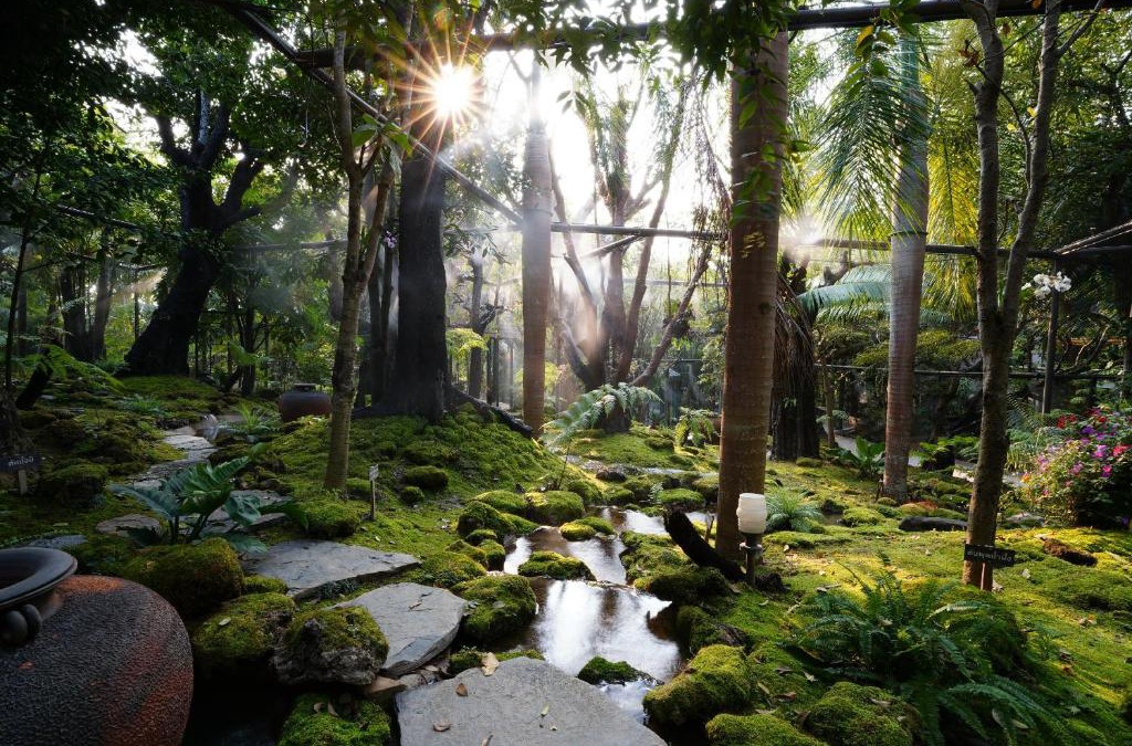 Nong Kwai Resort | Treescape Resort Chiangmai