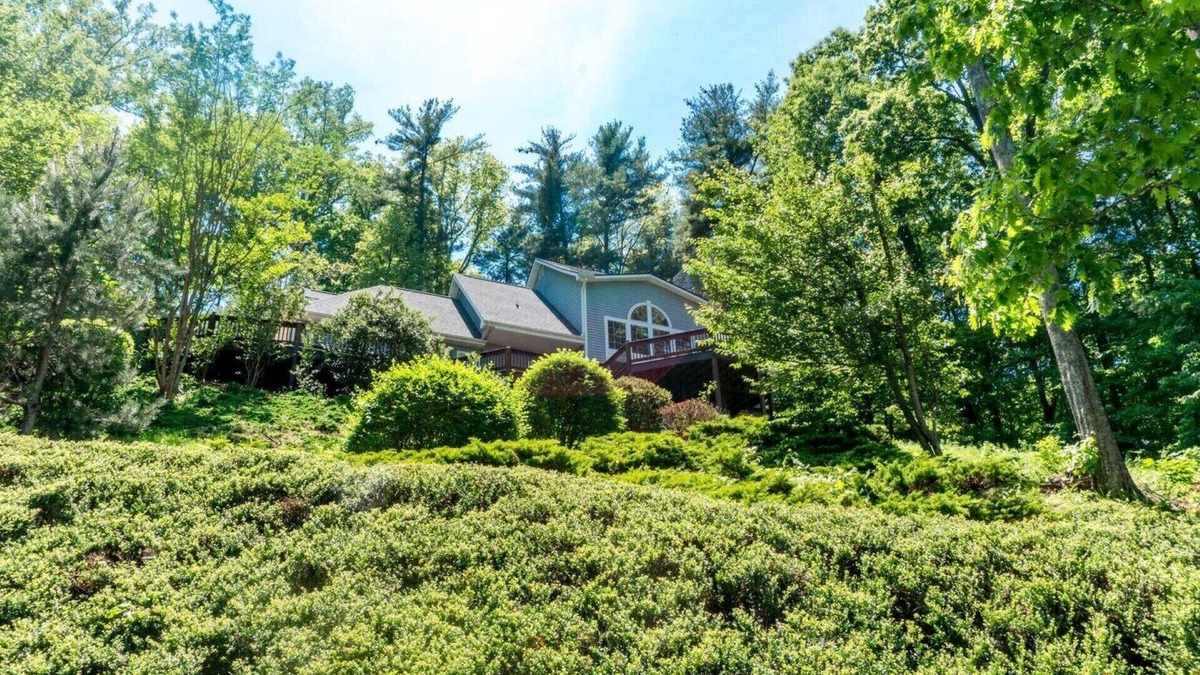 Woodfin House | Treetop Hideaway with mountain views. 1000 sq. ft. 10 min to downtown Asheville!
