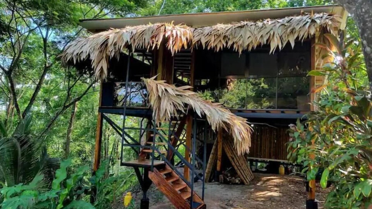 Cocles House | TreeTop Mansion, where the jungle meets the sea!