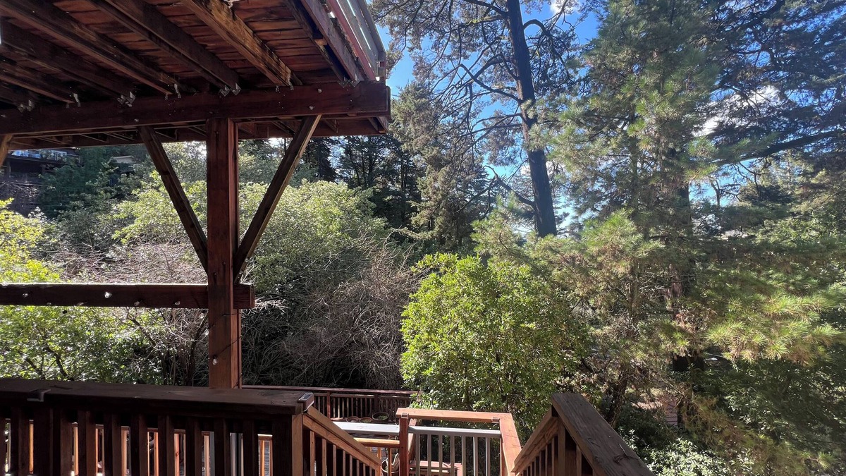 Piedmont Pines Apartment | Treetop Refuge in Oakland Hillsn