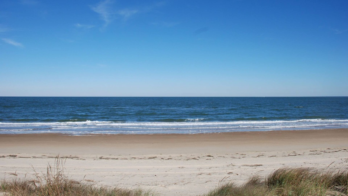 Bayview Cottage | Treetop Rustic Beach Front 2 Bedroom Apartment