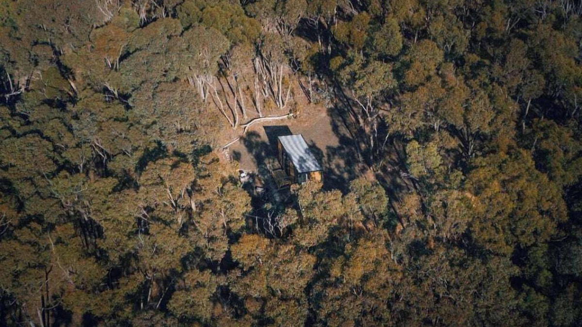 Walmer House | Treetops 2 by Tiny Away