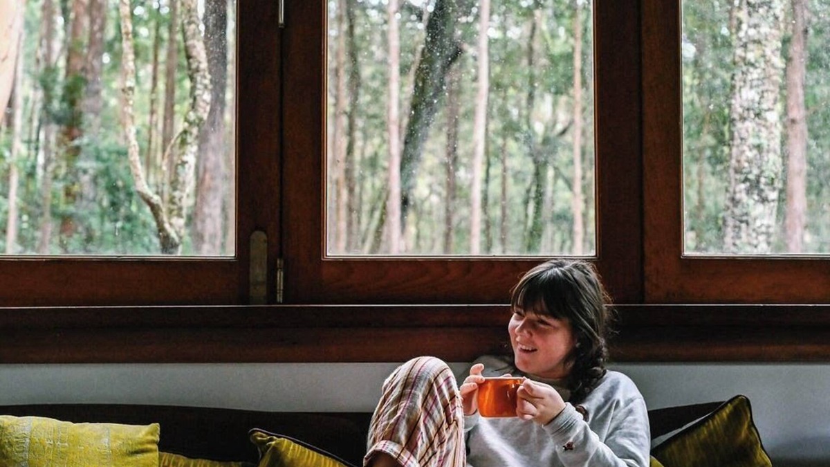 Salisbury Cabin | Treetops - Your Rainforest RetreatnnSurround yourself with nature.