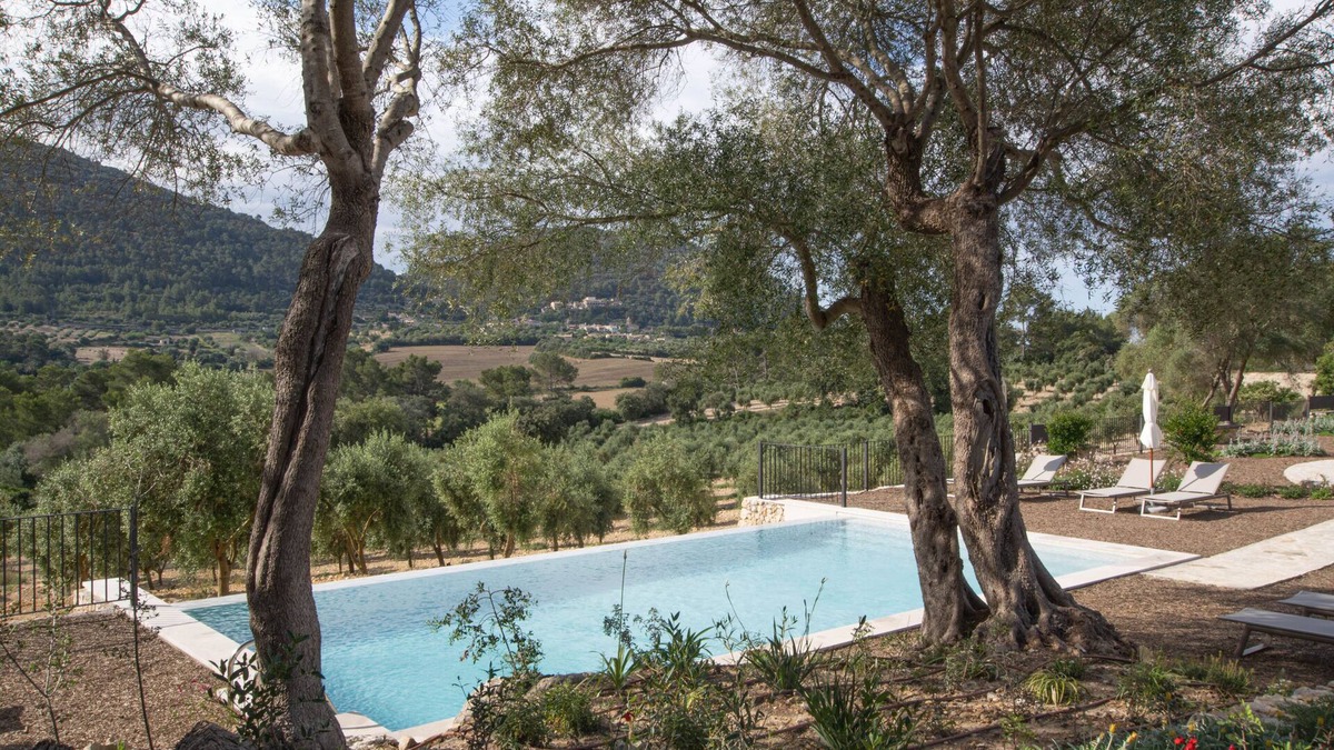 Algaida Other | Treurer Olive Grove & Grand House - Adults Only
