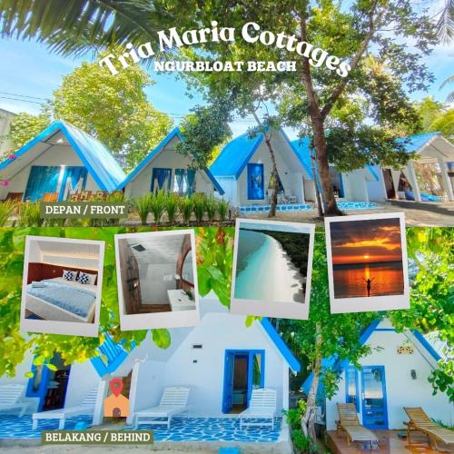 Nuhu Roa Cabin | Tria Maria Cottage