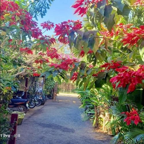 Ban Lung House | Tribal Village Homestay & Trekking