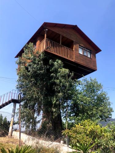 Omitlan de Juarez House | Trini Treehouse By GEstores