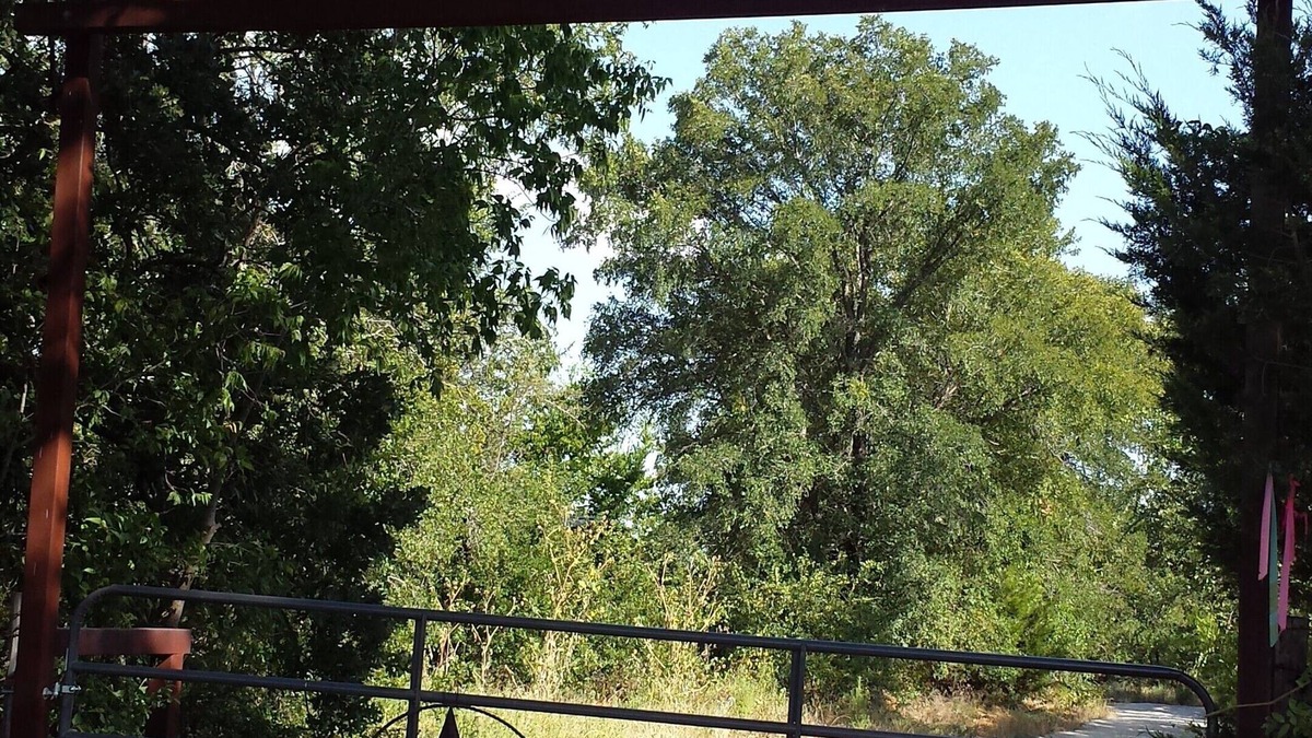 Hillsboro Cabin | Trinity Trails: New,Secluded,Quiet,Small Cabin Short Trail Walk to Lake Aquilla