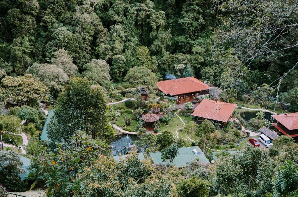 San Gerardo de Dota Cabin | Trogon Lodge