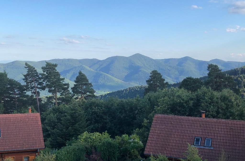 Trois-Epis Apartment | Trois-Épis, vue magnifique