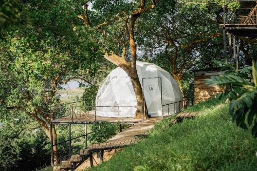 Dinh Quan Other | Tropical eglamping