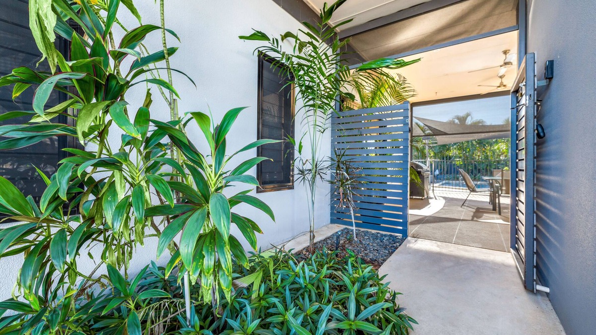 Zuccoli House | Tropical Guesthouse with Pool