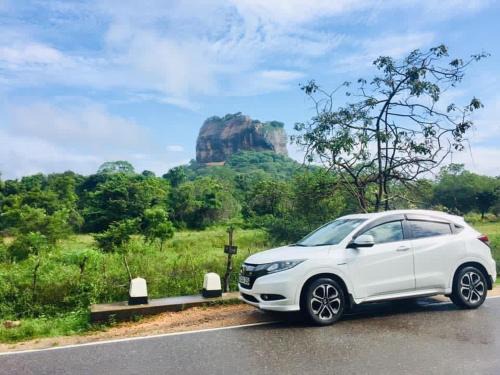 Seeduwa - Katunayake Boat Rental | Tropical Lanka Travels