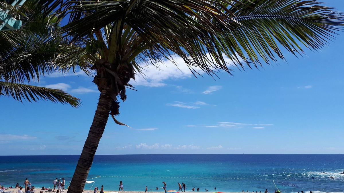 Boucan Canot Apartment | Tropical vacations in T1bis bungalow, 2 stars, beachfront in Boucan