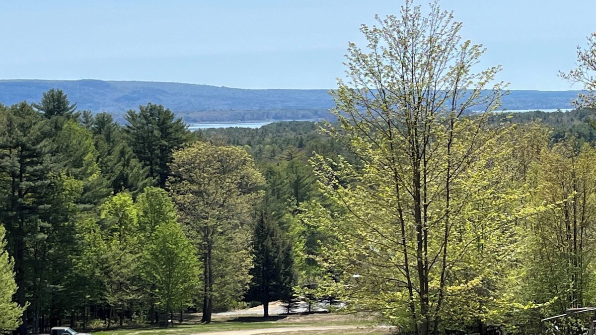 Mayfield Cabin | True Adirondack Retreat! Nestled in the Mountains!
