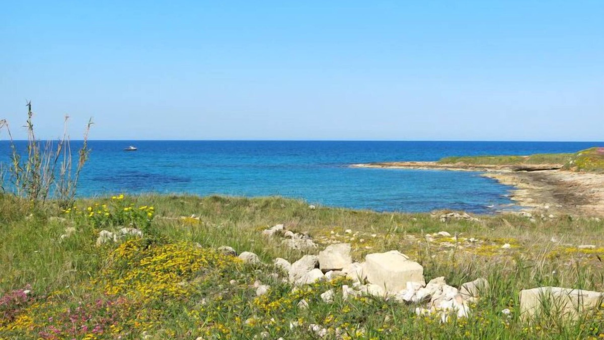 Ceglie Messapica House | Trullo Selva by Interhome