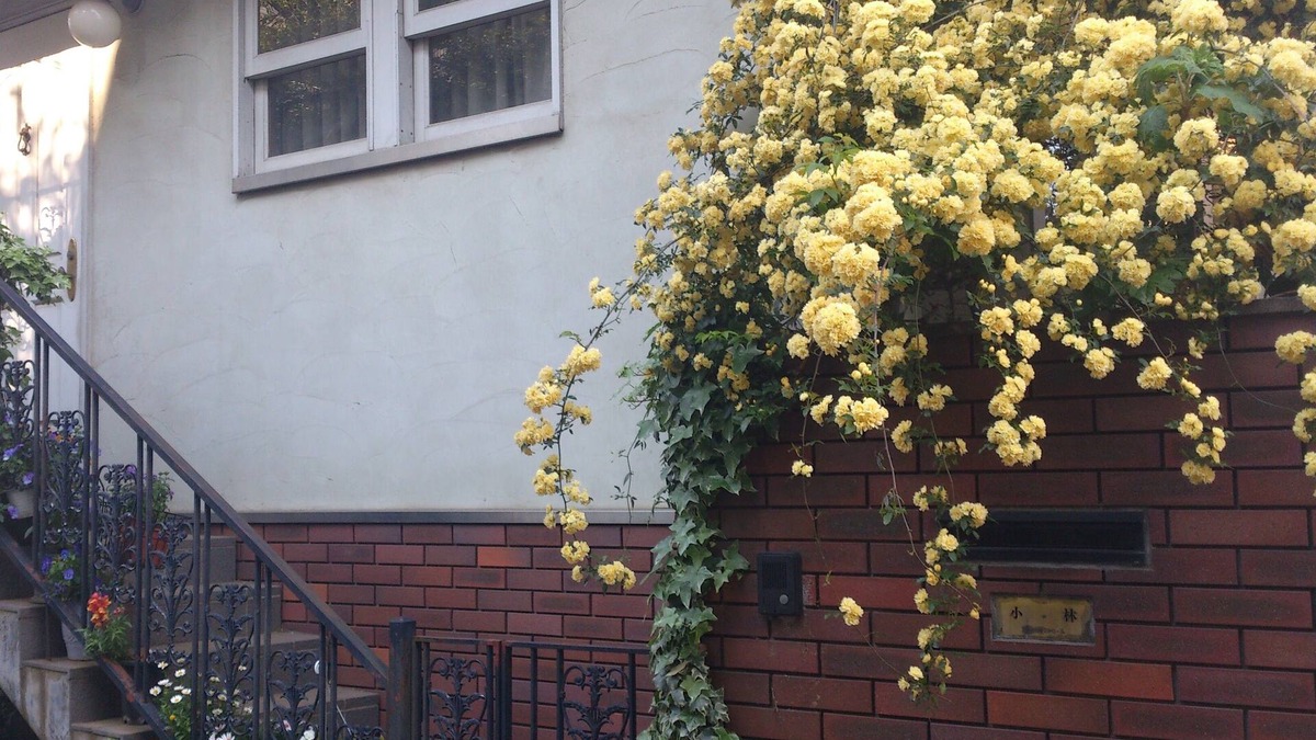 Nakano House | Try Tatami & Futon