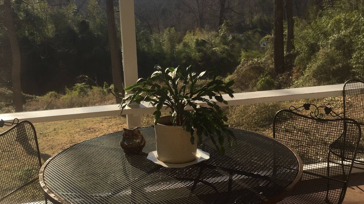 Lynn House | Tryon Love 2 min walk to downtown. Wood fireplace. Monthly rentals only.