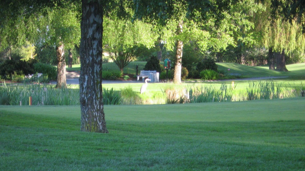 Delta Apartment | " TSAWWASSEN *5 STARS GOLF VIEW re-opens! « "