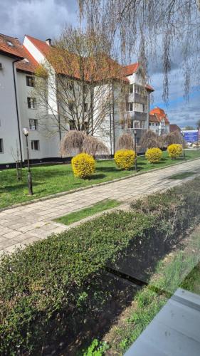 Bistrita Apartment | Tudor Central Apartment