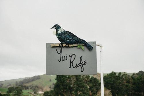 Waikato District House | Tui Ridge Cottage