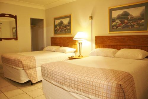 Woodstock Hotel | Tulip Motel