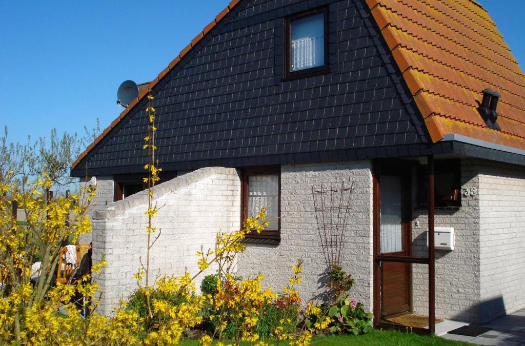 Julianadorp aan zee House | Tulpenzicht