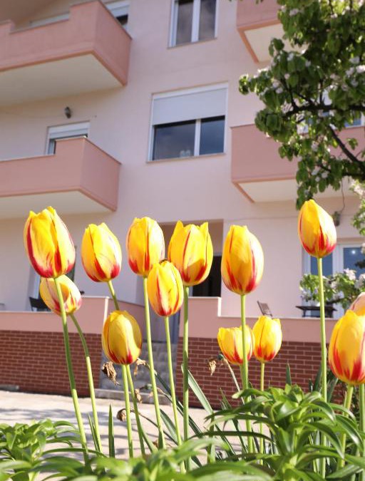 Piskupat House | Turka Lake House