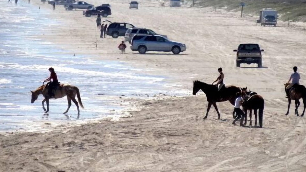 Corpus Christi Condo | Turtle-C:Waterfront, Beach and Schlitterbahn,Fishing,Beach,Wifi,Boat Slip.