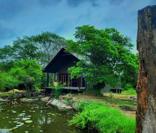 Nochchiyagama Resort | Turtle Pond Wilpattu