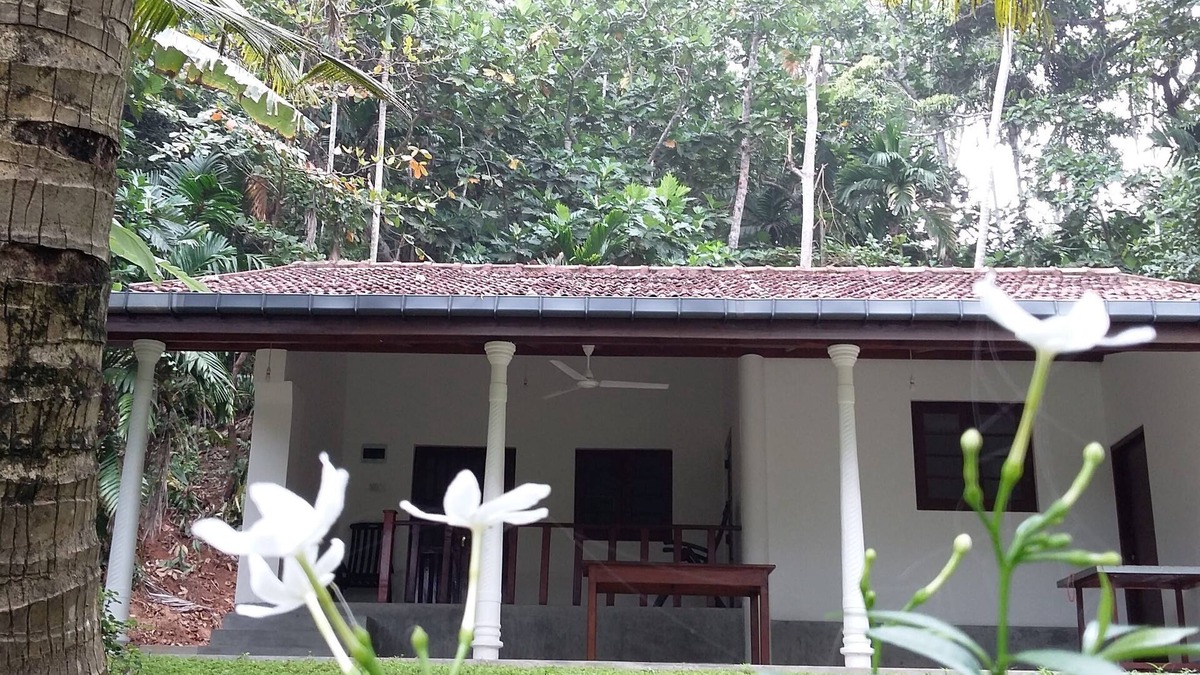 Matara Villa | Turtle Surf Whale Watching