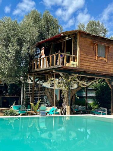 Dirfys-Messapia Apartment | Tuz Treehouse
