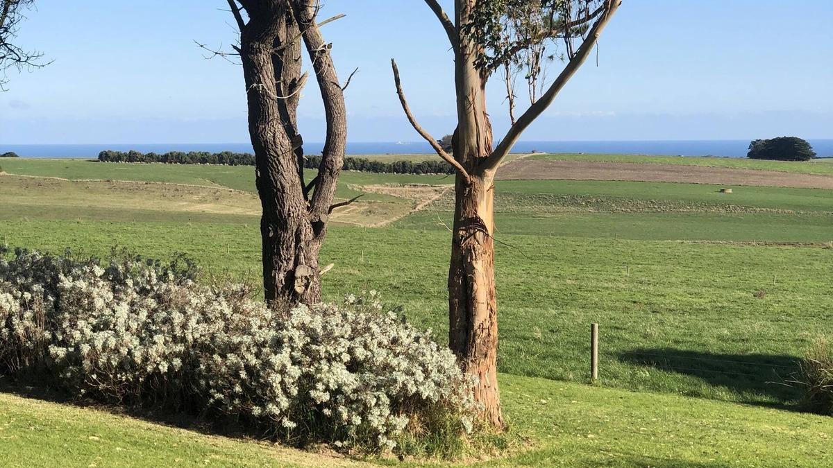 Princetown House | Twelve Apostles Ocean View