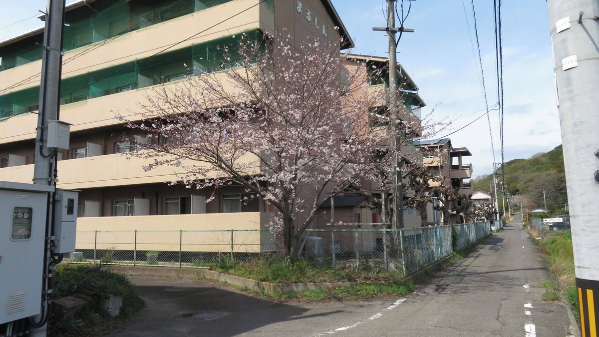 Sanuki Apartment | Twin room with 2 single beds Vacation Rental Busin/Sanuki Kagawa