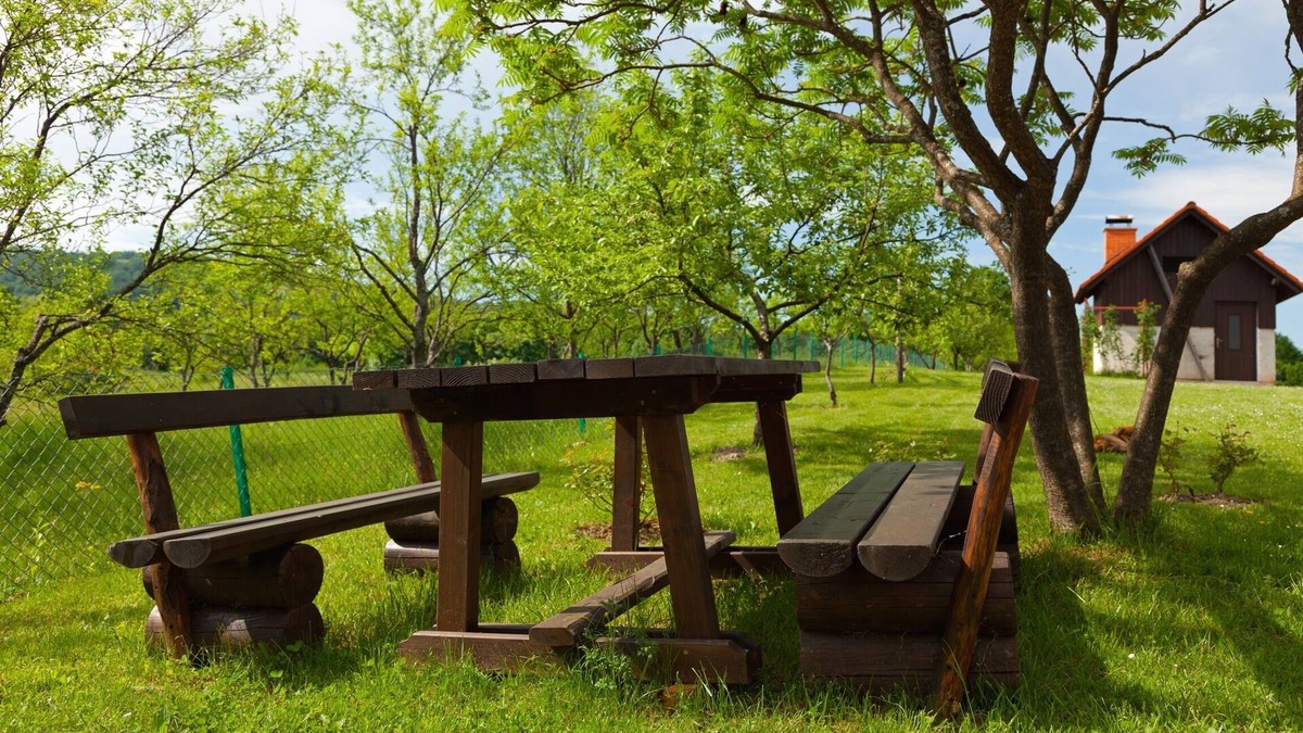 Catrnja Apartment | Two bedroom apartment with terrace Smoljanac, Plitvice (A-14023-a)