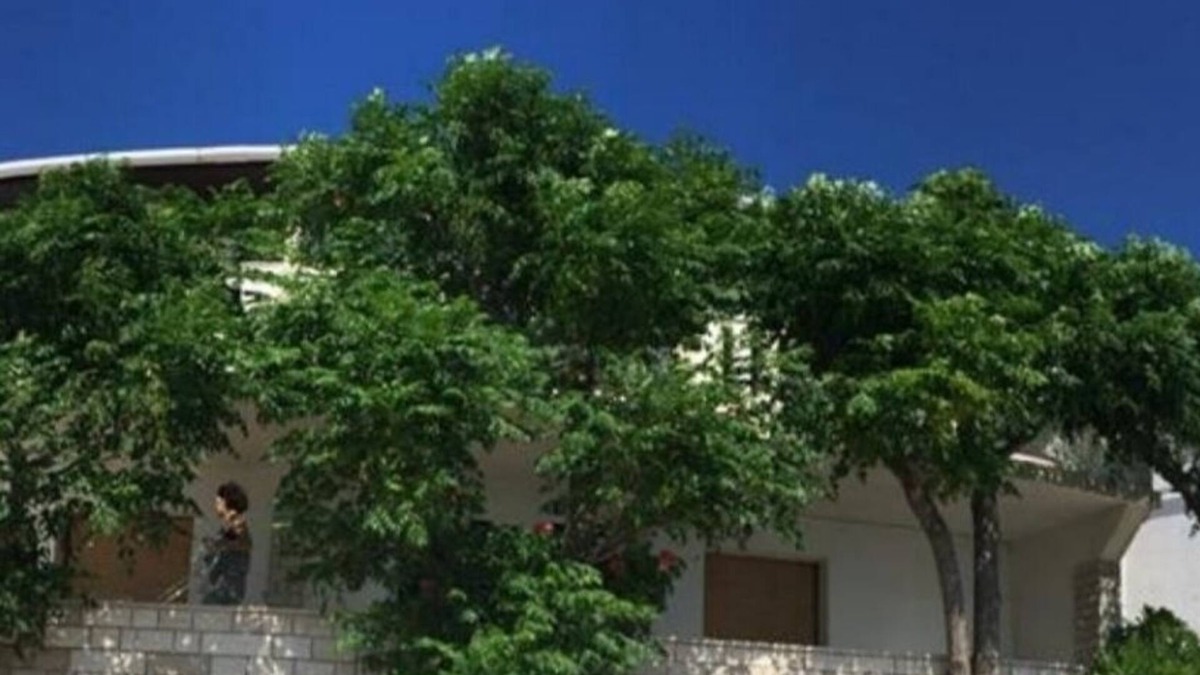 Kustici Apartment | Two bedroom apartment near beach Kustići, Pag (A-18248-b)
