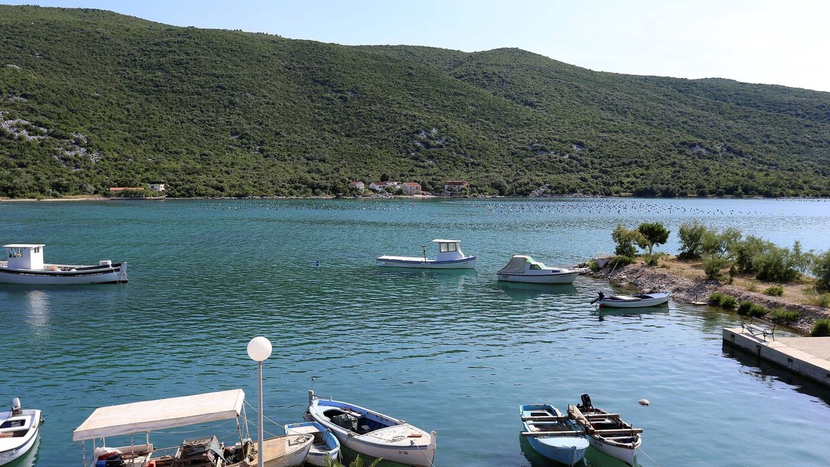 Brijesta Apartment | Two bedroom apartment near beach Brijesta, Pelješac (A-10223-a)