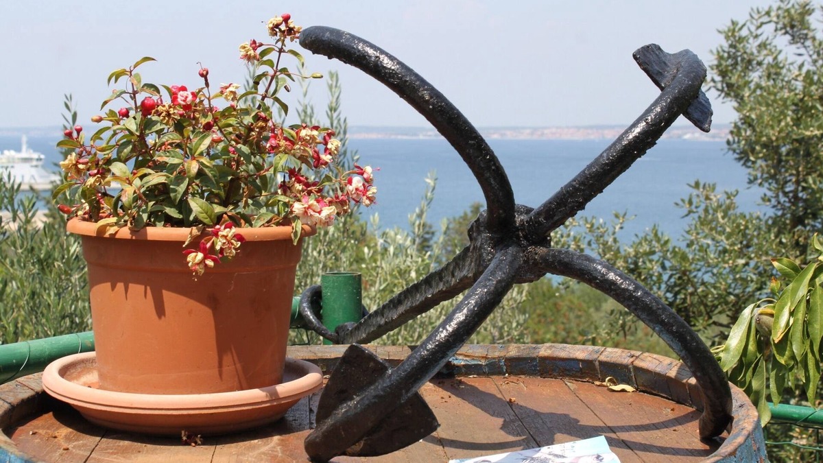 Kali Apartment | Two bedroom apartment with terrace and sea view Kali, Ugljan (A-834-a)